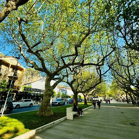 Praja 酒店 普拉亚·阿马勒