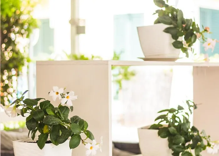 酒店 Praja 普拉亚·阿马勒